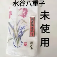 Item thumbnail for item 64859938-7378-422e-8c02-804c95502eb0