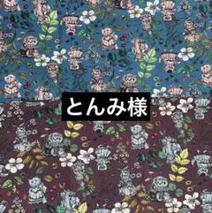 とんみ様•*¨*•.¸♬︎専用ページ