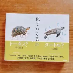【写真集】似ている英語