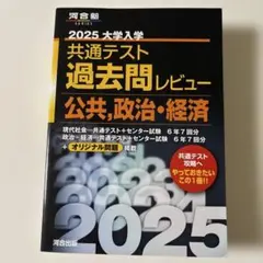 河合塾 2025 大学入学共通テスト過去問レビュー 公共・政治経済