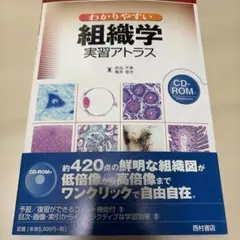 Item thumbnail for item f8b1d309-c2e7-4997-962f-19f19d4b251c