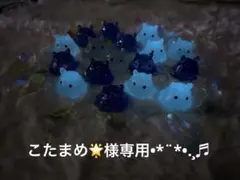 専用♡.*・゜　.゜・*.