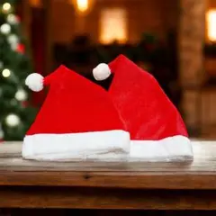 サンタ帽子 2点セット クリスマス 仮装 コスプレ ペアセット