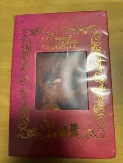 Disney Beauty and the Beast 特別版