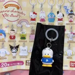 サンリオキャラクターズ めじるしアクセサリー あひるのペックル