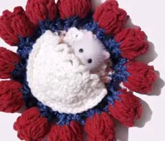 Item thumbnail for item 8d747a20-ff27-4f45-b437-b8050b113101