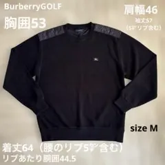 BURBERRY メンズ ウール混ニット サイズ2(M相当) 三陽商会 正規品 