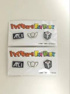 ハイキューファンパーク ピンズ 定期購読者限定