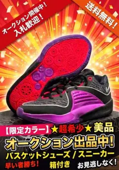 ​ 新品 미사용 NIKE KD16 EP 28cm箱付き バッシュ オークション
