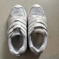 Item thumbnail for item 8f2e5357-49e9-40ab-b523-128c8ee559f9