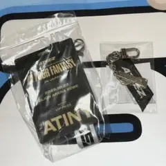 ATEEZ 神戸 10/23 アプグレ VIP PASS オーラス 継続特典