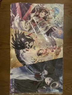 デュエマ GP限定プレイマット 星龍パーフェクトアース ドラゴン娘