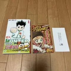 HUNTER×HUNTER | Doorzo日本の購入代理購入サービス | 第2ページ