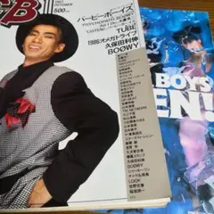 BARBEE BOYS バービーボーイズ 雑誌 切り抜き 351P ◆結成初期～ 蜂 -BARBEE BOYS Complete Single Collection- | バービーボーイズ