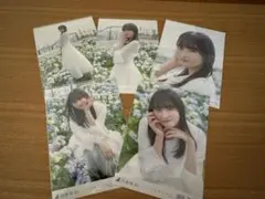 乃木坂46 遠藤さくら ここにはないもの 5種コンプ
