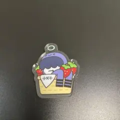 TXT　　PPULBATU　プルバトゥ　アクリル　福岡　フムニャリン