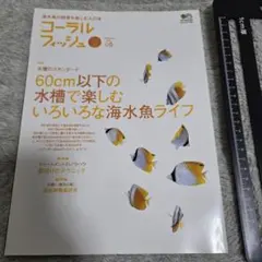 Item thumbnail for item 2d7f408e-13ea-429f-8e60-6466e329b36e