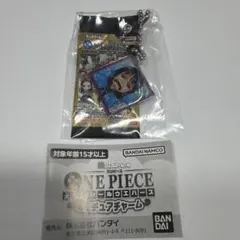 ワンピース 大海賊シールウエハース ミニチュアチャーム ニコ・ロビン①