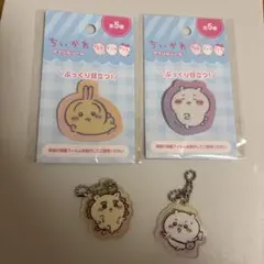 ちいかわ うさぎ アクリルシール 2点セット キャンドゥ セリア キーホルダー