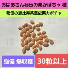 ぽけぽけこ様 リクエスト 2点 まとめ商品