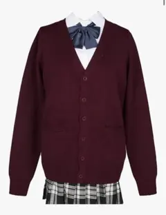 スクールカーディガン 女子 制服 カーディガン 学生 厚手 無地 Vネック