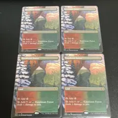 ☆紅茶花伝☆様 リクエスト 2点 まとめ商品