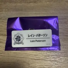 にじフェス2025 【レイン・パターソン】 ネームバッジ Gグループ