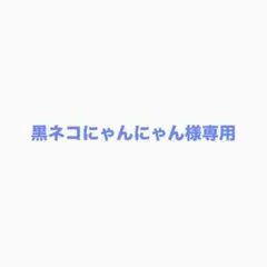 2026年最新】にゃんにゃん様専用確認ページの人気アイテム - メルカリ
