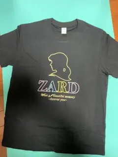 2026年最新】坂井泉水 tシャツの人気アイテム - メルカリ