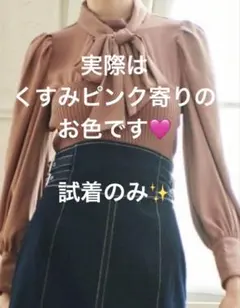試着のみ アンドクチュール リボン ブラウス ビスチェ 長袖 ピンクベージュのサムネイル