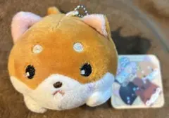 ぽてコロどうぶつ マスコットBC2 柴犬