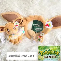 ポケモン　ポケパークカントー　カチューシャキーホルダー　ブイズ　コンプ　計9点 ポケモン ポケパークカントー カチューシャキーホルダー ブイズ コンプ