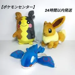 【ポケモンセンター限定】イーブイ カイオーガ モルペコ ぬいぐるみセット