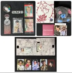 ENHYPEN THE SIN : VANISH ソヌ ボイスキーリング②