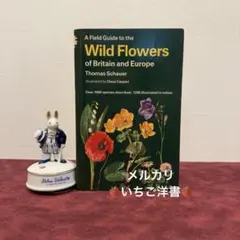 2026年最新】植物図鑑 洋書の人気アイテム - メルカリ