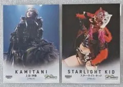 Item thumbnail for item 135dc307-0d4c-4a68-bf1d-8a0b5003349a