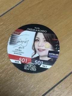 DARTSLIVE カプセル 江口梨世美 Vol.1 - メルカリ