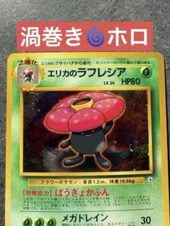 美品※エリカのラフレシア 「タマムシシティジム エリカ」旧裏（管理用
