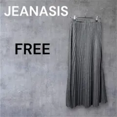 JEANASIS グレー FREE プリーツスカート 光沢シアー素材 薄手 長めのサムネイル