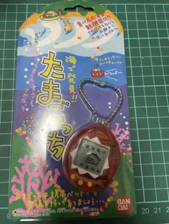 海で発見！！たまごっち　新品、未使用品 海で発見!!たまごっち (透明：波) 未使用品｜トレファクONLINE