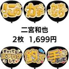 【匿名配送】二宮和也 嵐 ぷっくりファンサうちわ文字 2枚セット