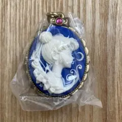 【新品未開封】美少女戦士セーラームーン　カメオチャーム