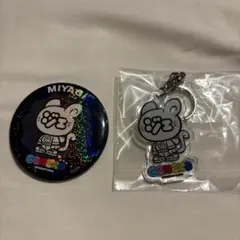 ジェ猫　キーホルダーと缶バッジ　セット