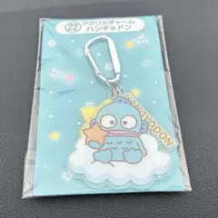 サンリオキャラクター大賞 当たりくじ ハンギョドンアクリルチャーム