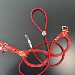 Item thumbnail for item 1c9c4093-117d-43bf-9236-36d0cfabe6dd