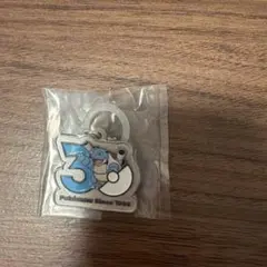ポケモン　30周年　メタルチャームマスコット　カメックス