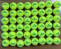 St. JAMES テニスボール 48個球