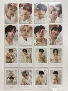 スキズ straykids シーグリ 2024 トレカ コンプリートセット