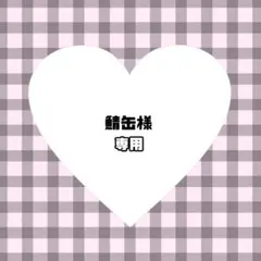 鯖缶様　ぬい服　オーダー　専用