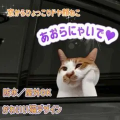 Item thumbnail for item 2358e66e-c275-4fd3-89df-21ae1c831d5b